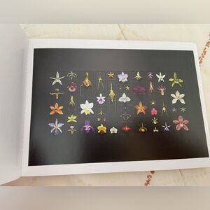 Postcard - Art of Christopher Marley - Biophilia - Orchids